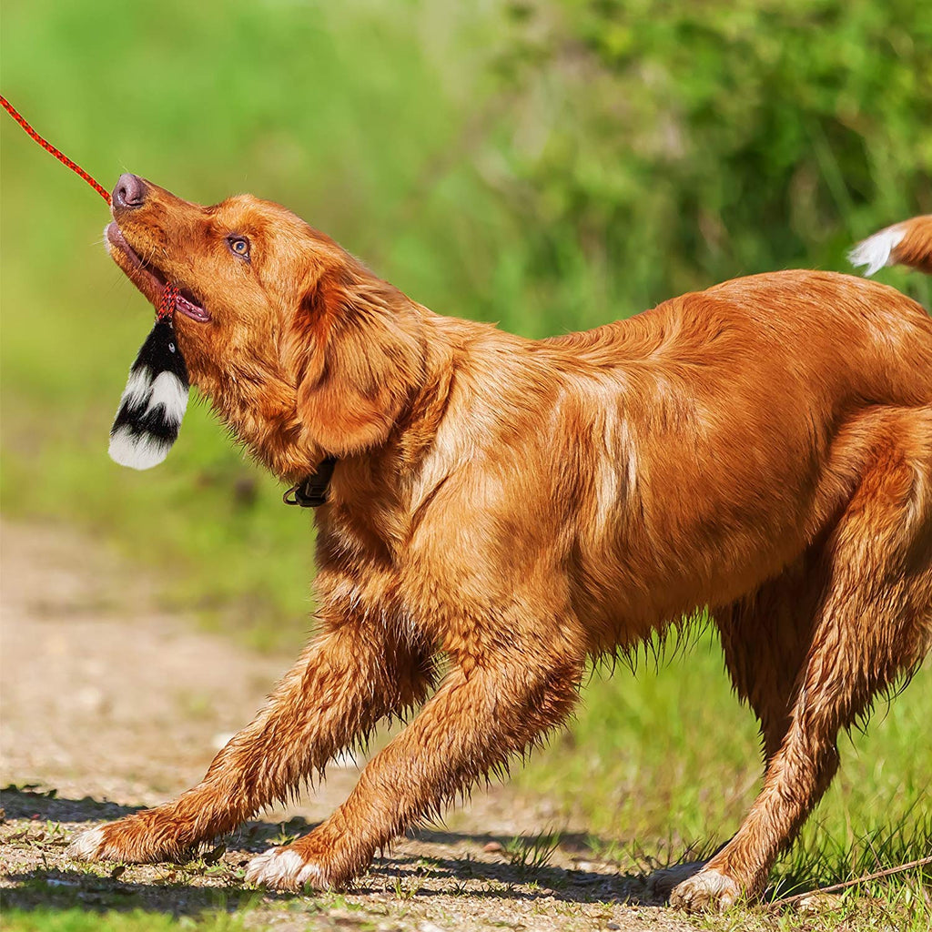 OWH124_Outward Hound_Tail Teaser Wand