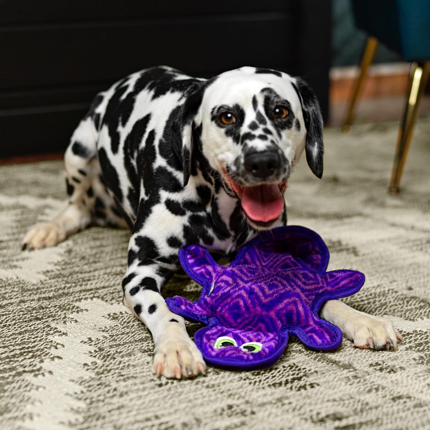 Outward Hound Durablez Gecko