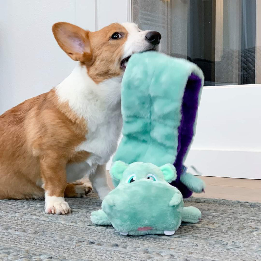 OWH134_Outward Hound_XL Squeaker Matz Hippo 16 Squeaker
