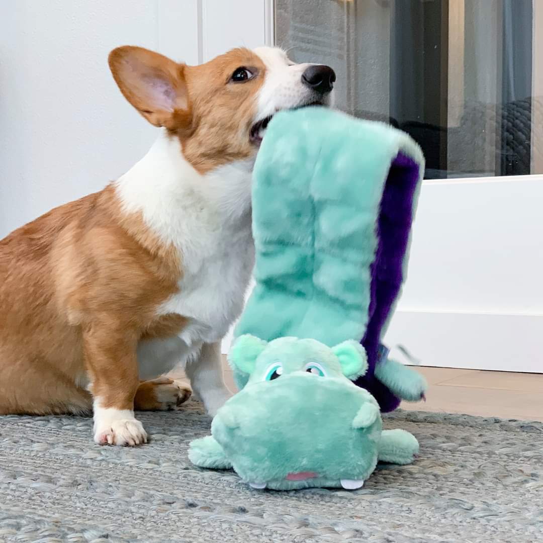 OWH134_Outward Hound_XL Squeaker Matz Hippo 16 Squeaker
