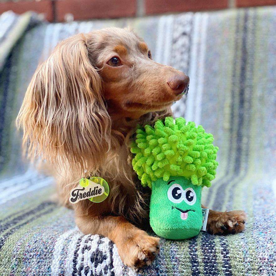 OWH137_Outward Hound_Surprise Veggie Pals Ast