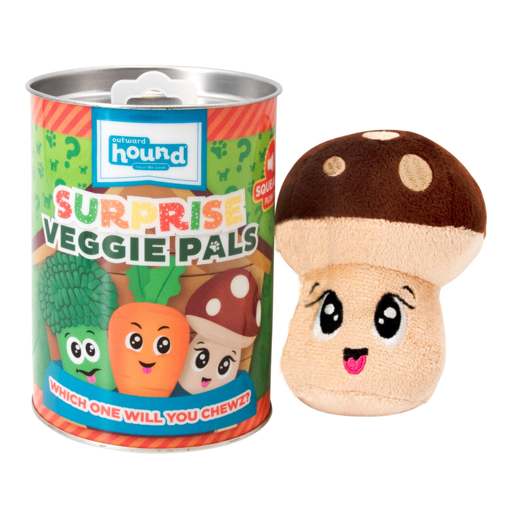 OWH137_Outward Hound_Surprise Veggie Pals Ast