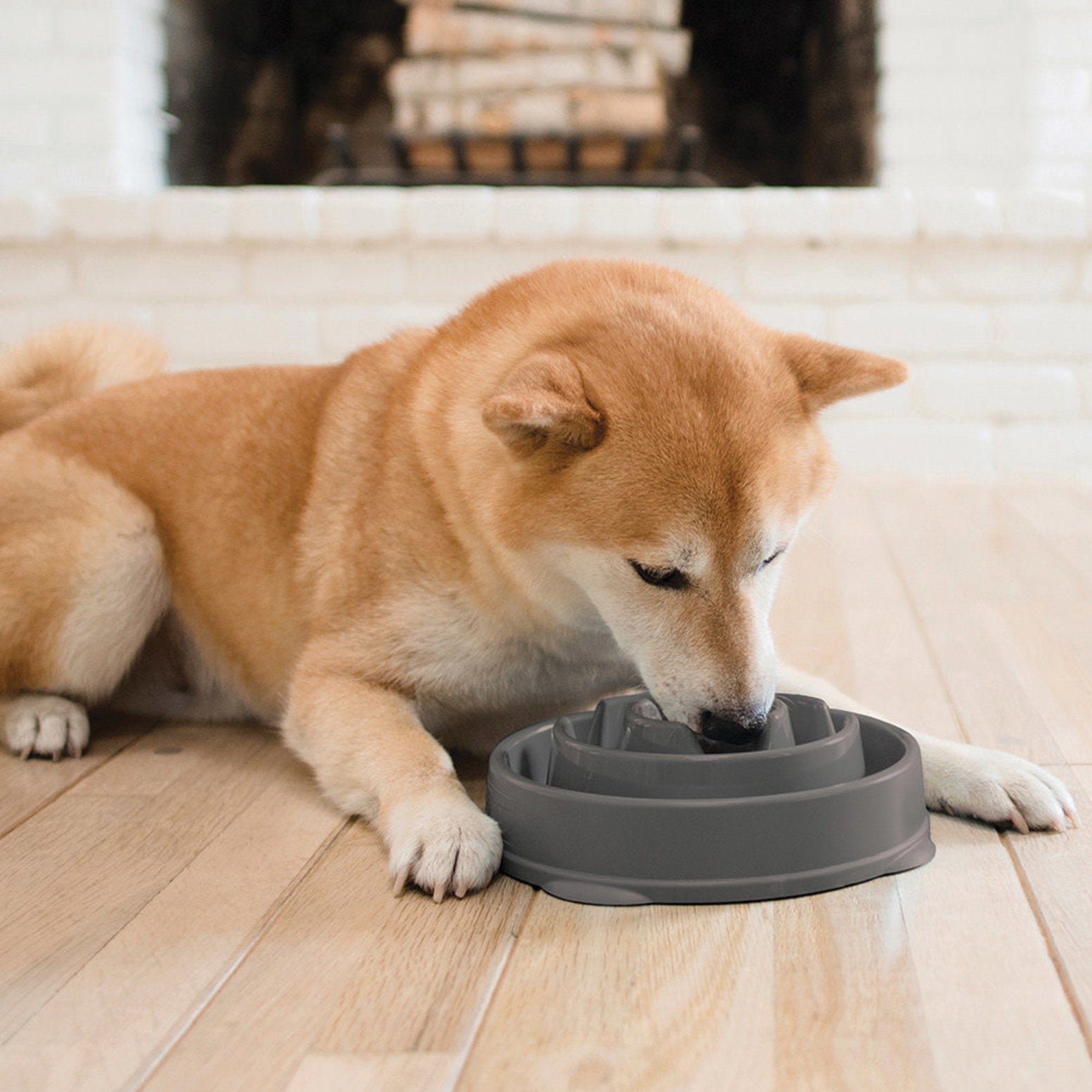 OWH144_Outward Hound_Fun Feeder Grey