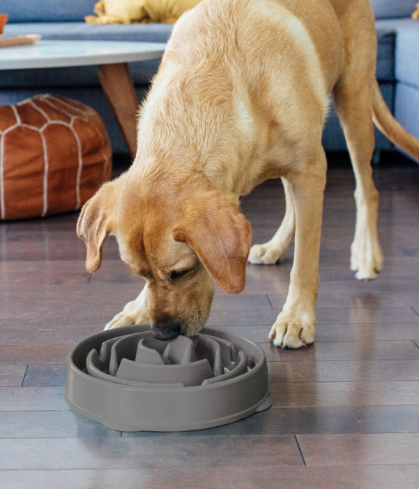OWH145_Outward Hound_Fun Feeder Grey