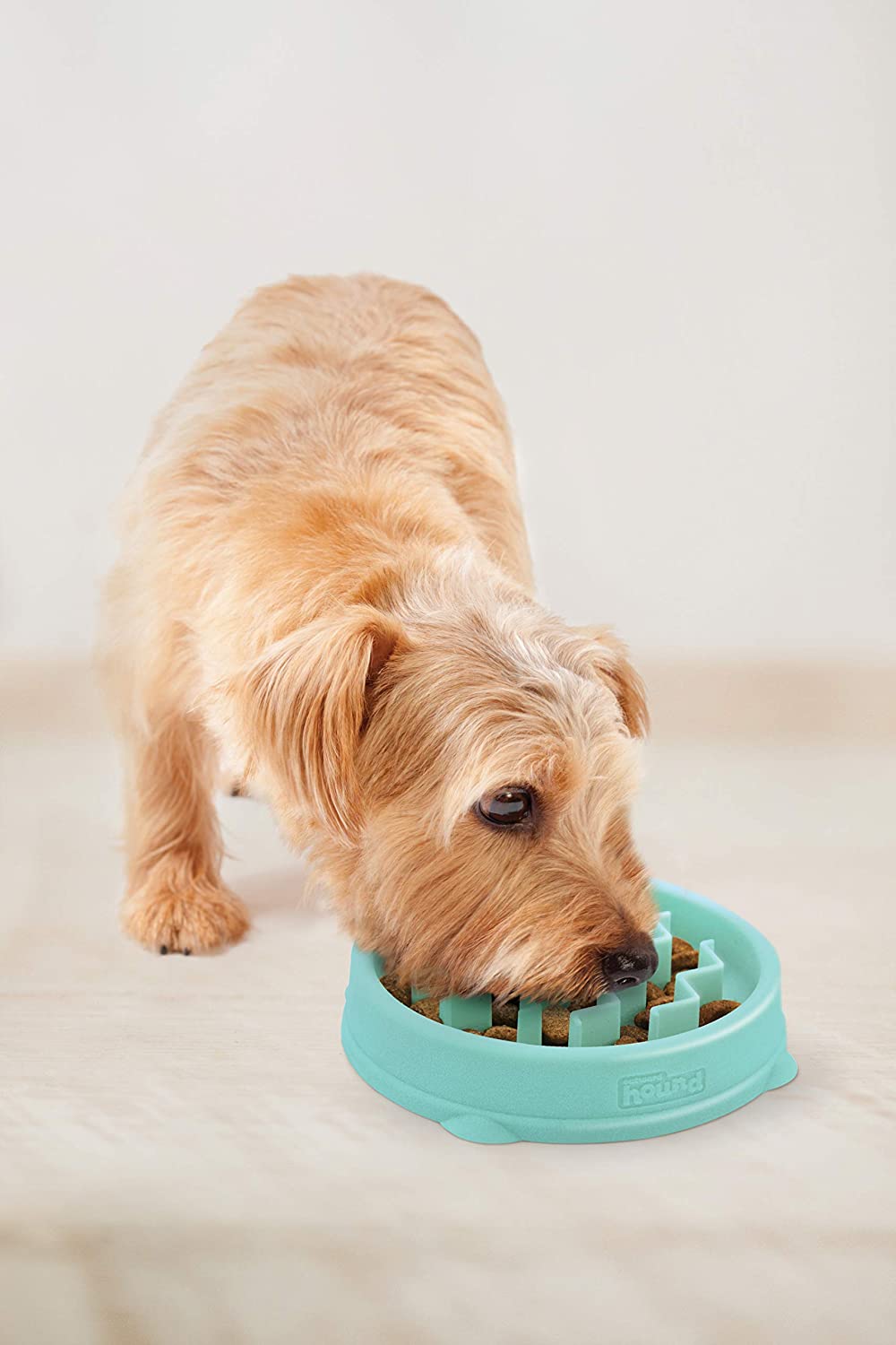 OWH147_Outward Hound Fun Feeder Tiny