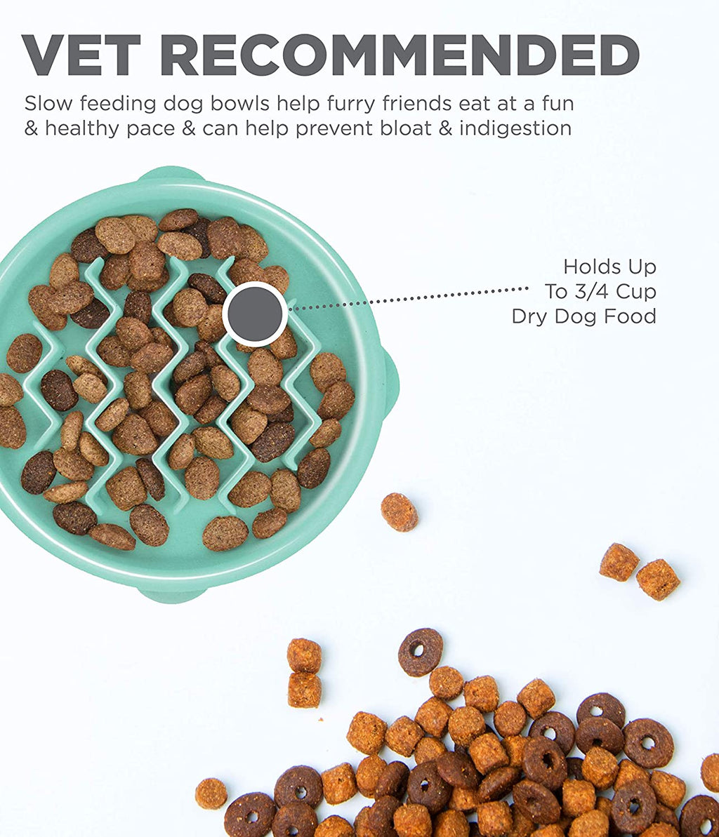 OWH147_Outward Hound Fun Feeder Tiny