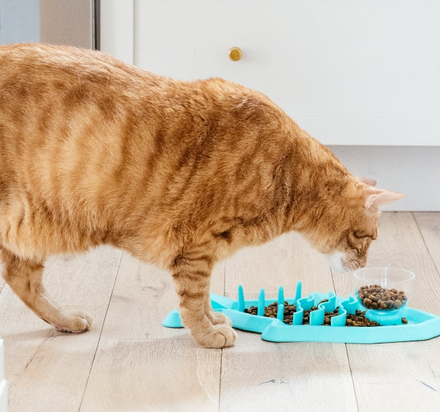 OWH150_Outward Hound_Cat Hunt 'n Snack Mat