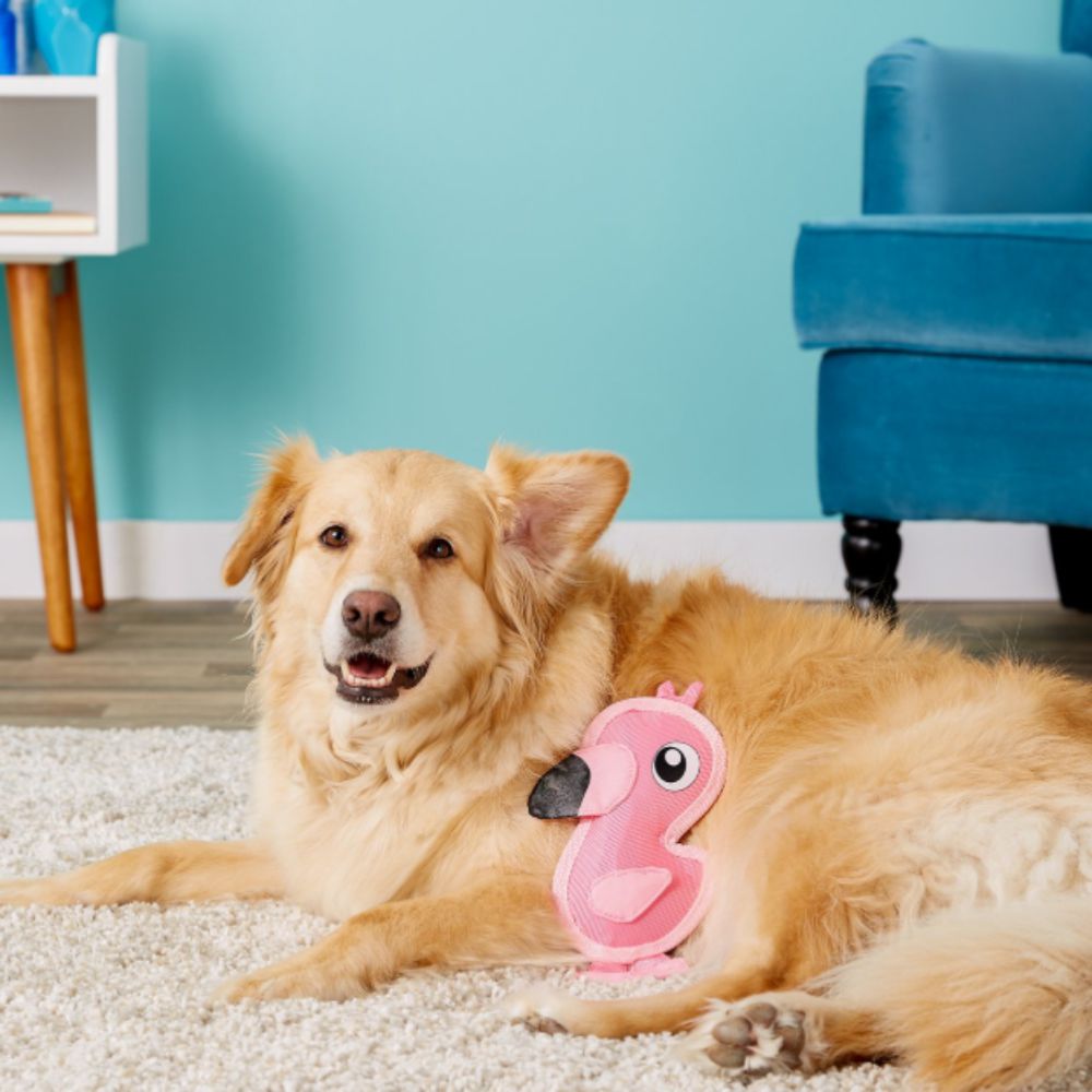 OWH162_Outward Hound_Fire Biterz Flamingo Small