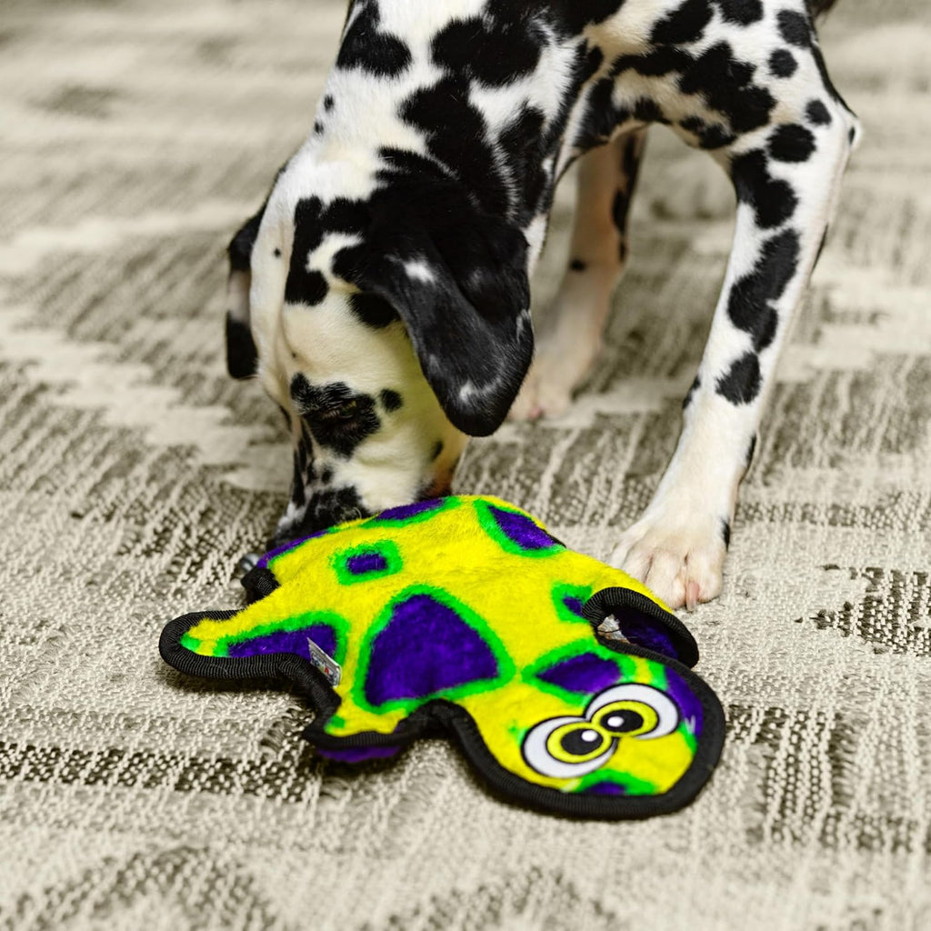 Outward Hound Durablez Gecko 2 sqk Green/Purple