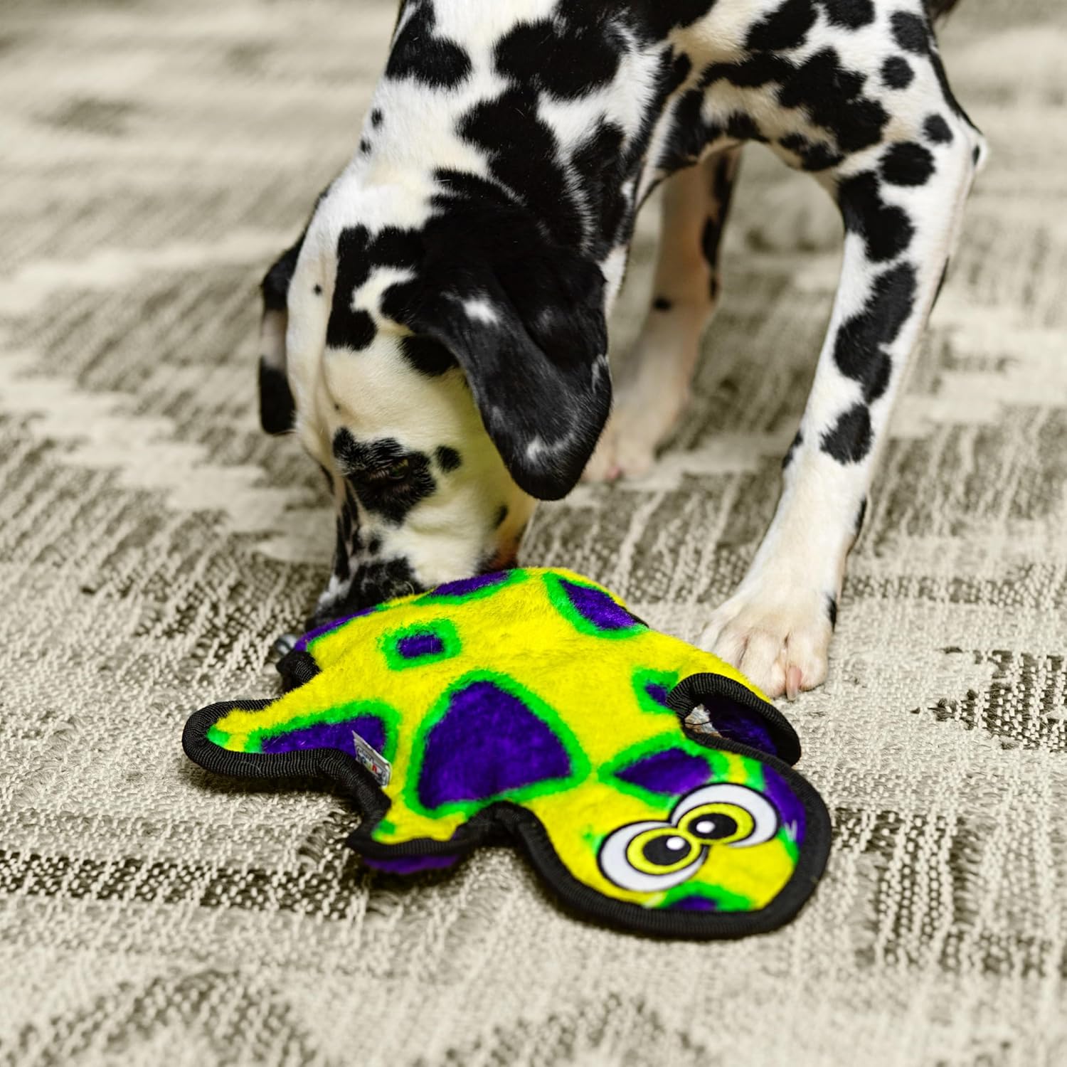 Outward Hound Durablez Gecko 2 sqk Green/Purple