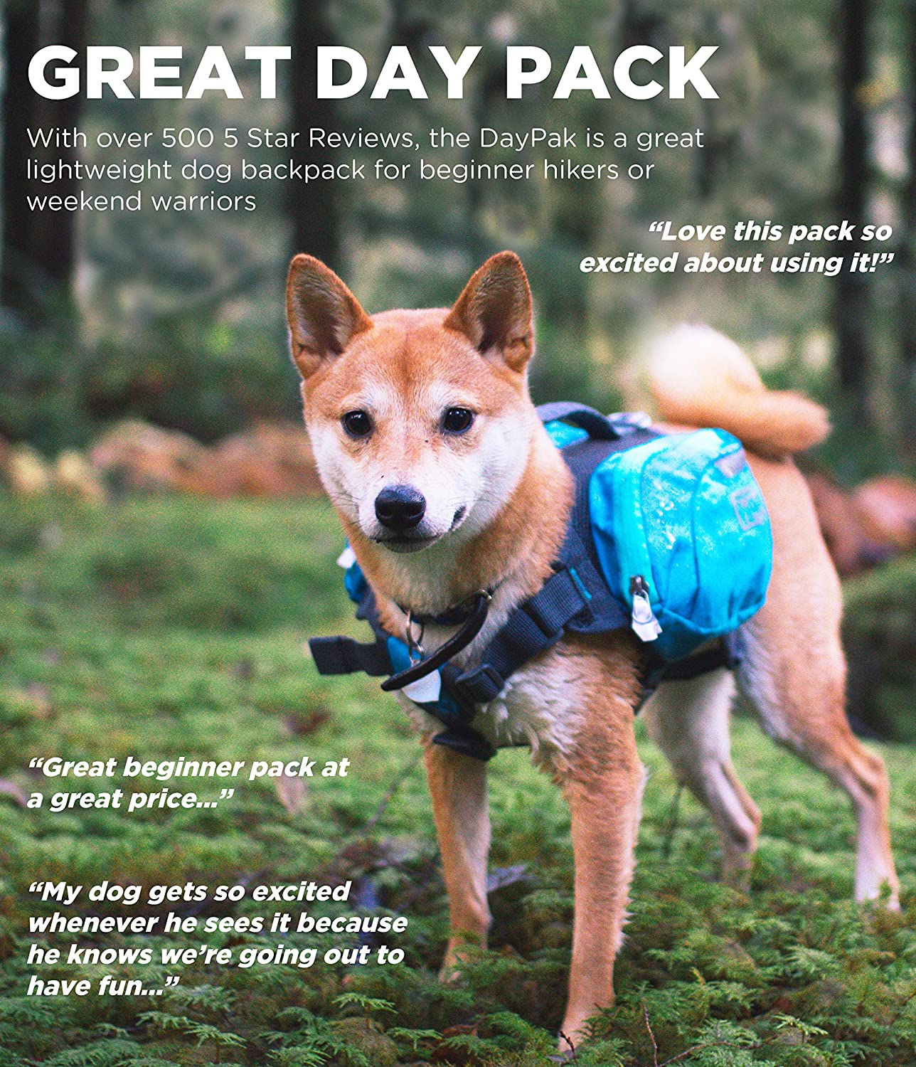 OWH181_Outward Hound_DayPak