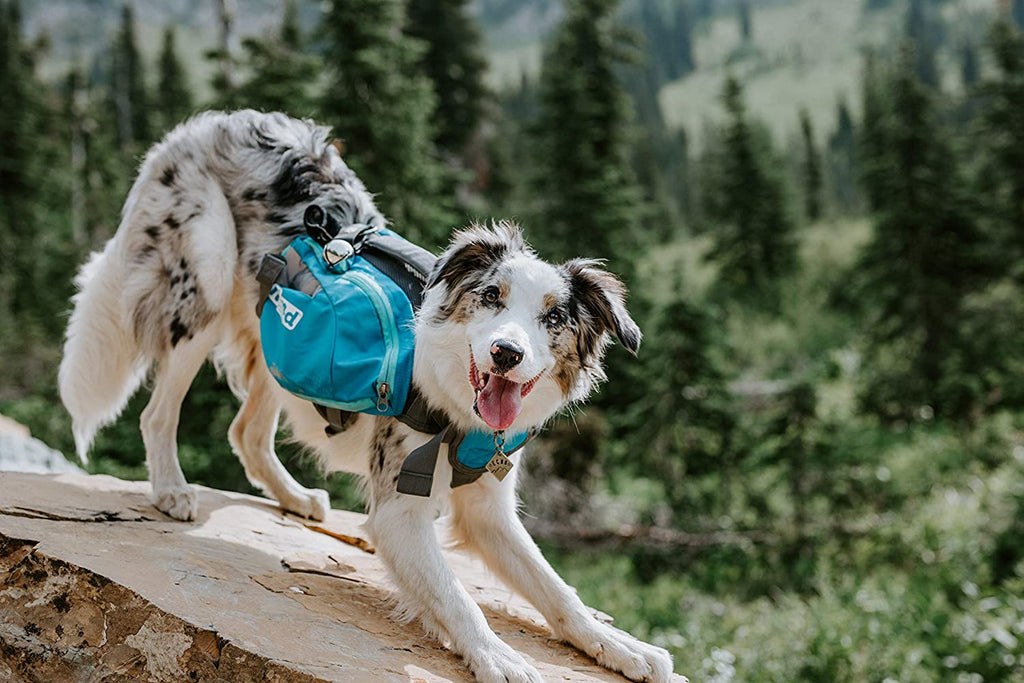 OWH181_Outward Hound_DayPak