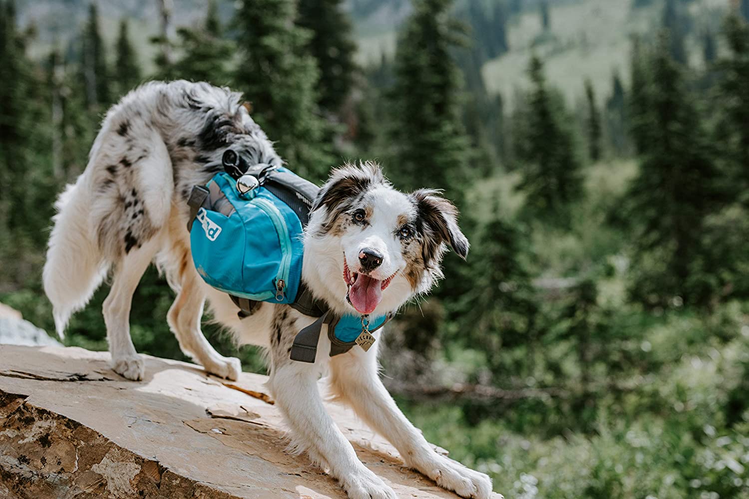 OWH181_Outward Hound_DayPak