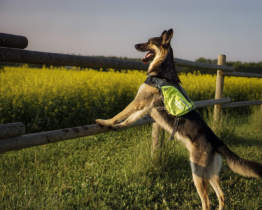 OWH182_Outward Hound_DayPak