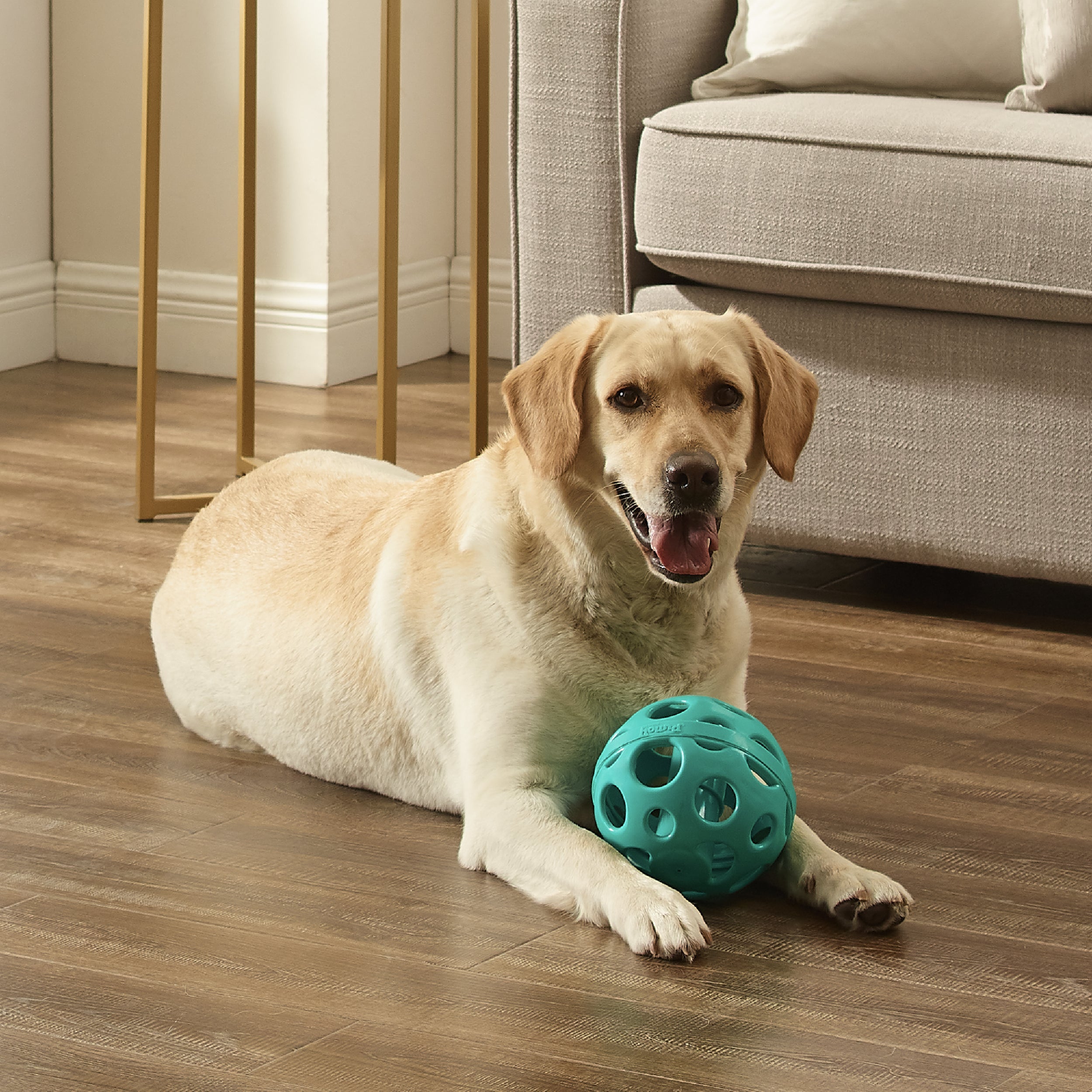 OWH187_Outward Hound_Squeakin' Holey Moley Dog Ball Stuffable Fetch Toy