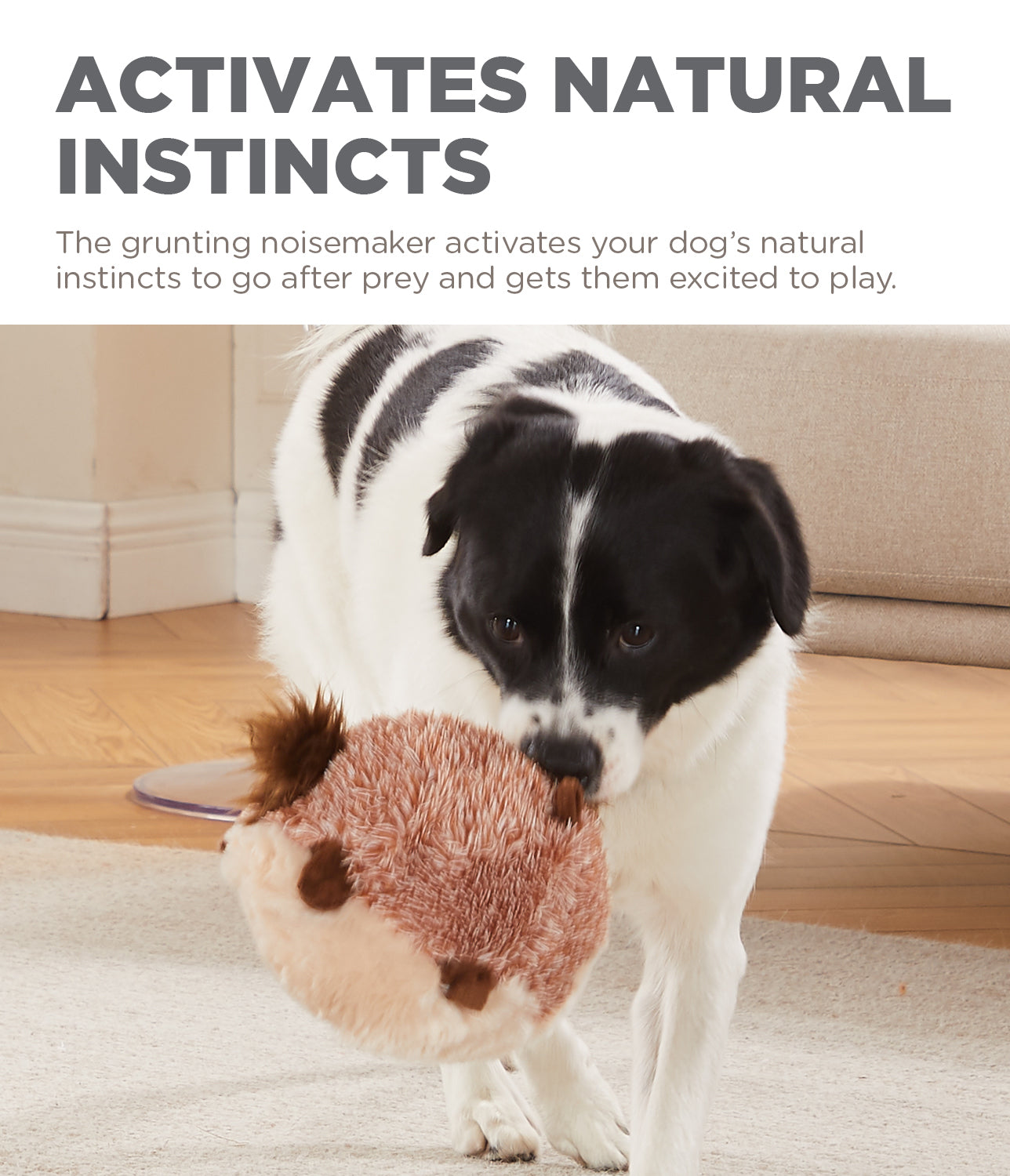 OWH190_Outward Hound_Jumbros Guinea Pig