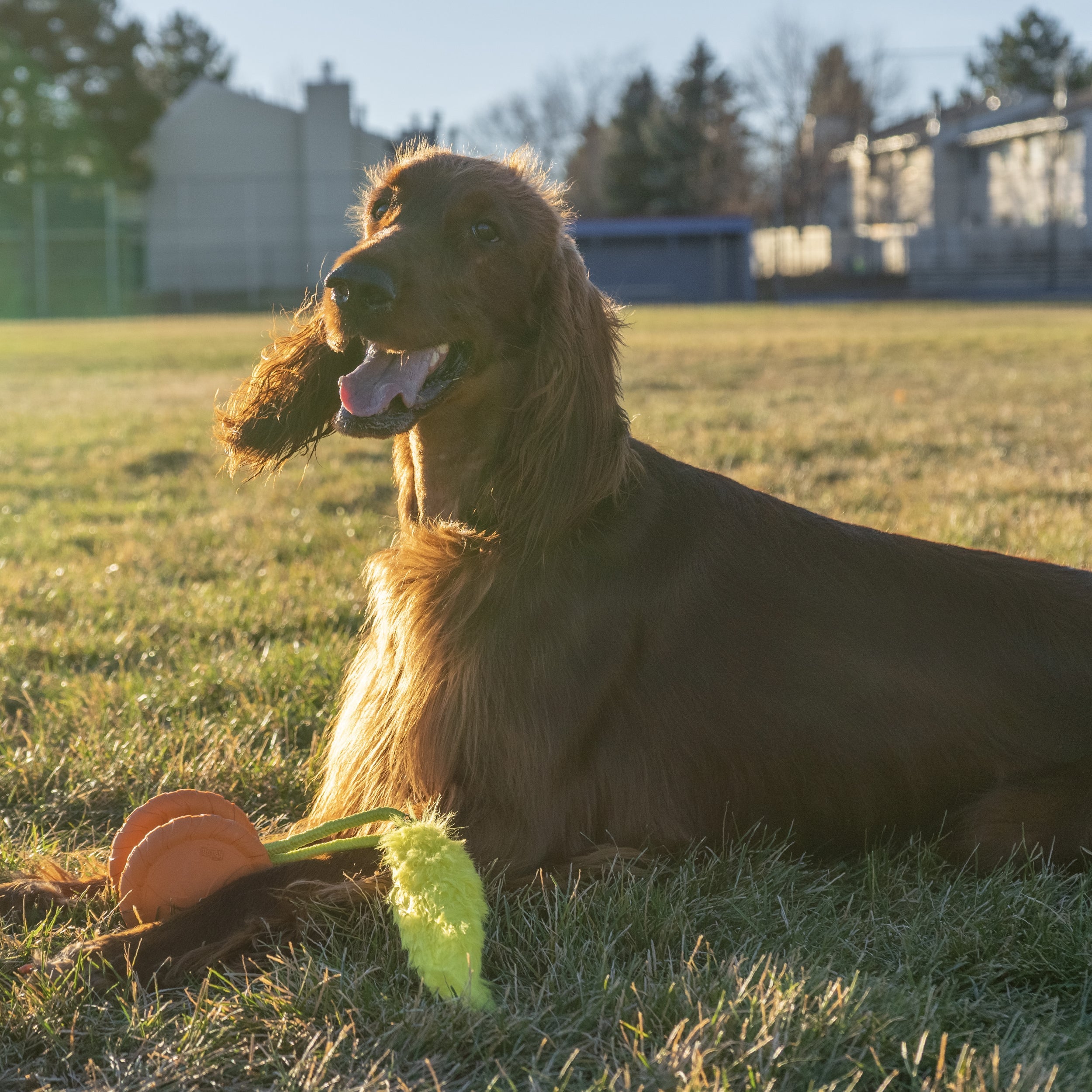 OWH198_Outward Hound_Tail Spinner