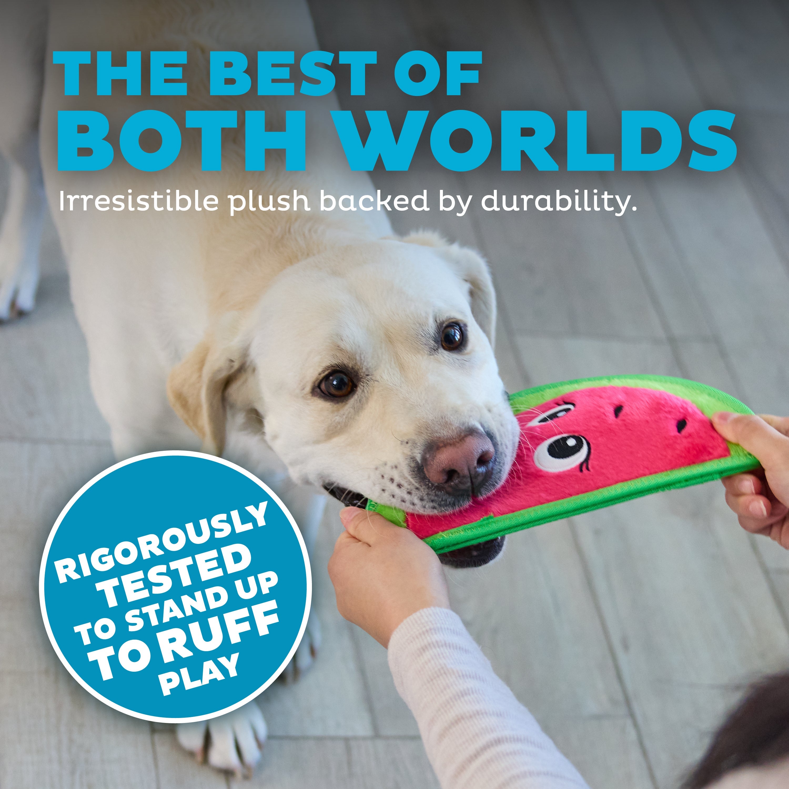 OWH201_Outward Hound_Tough Skinz Watermelon