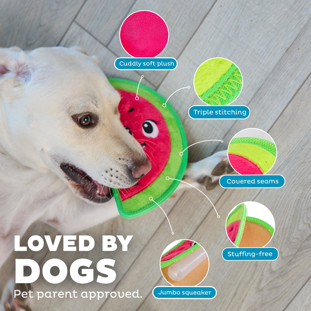 OWH201_Outward Hound_Tough Skinz Watermelon
