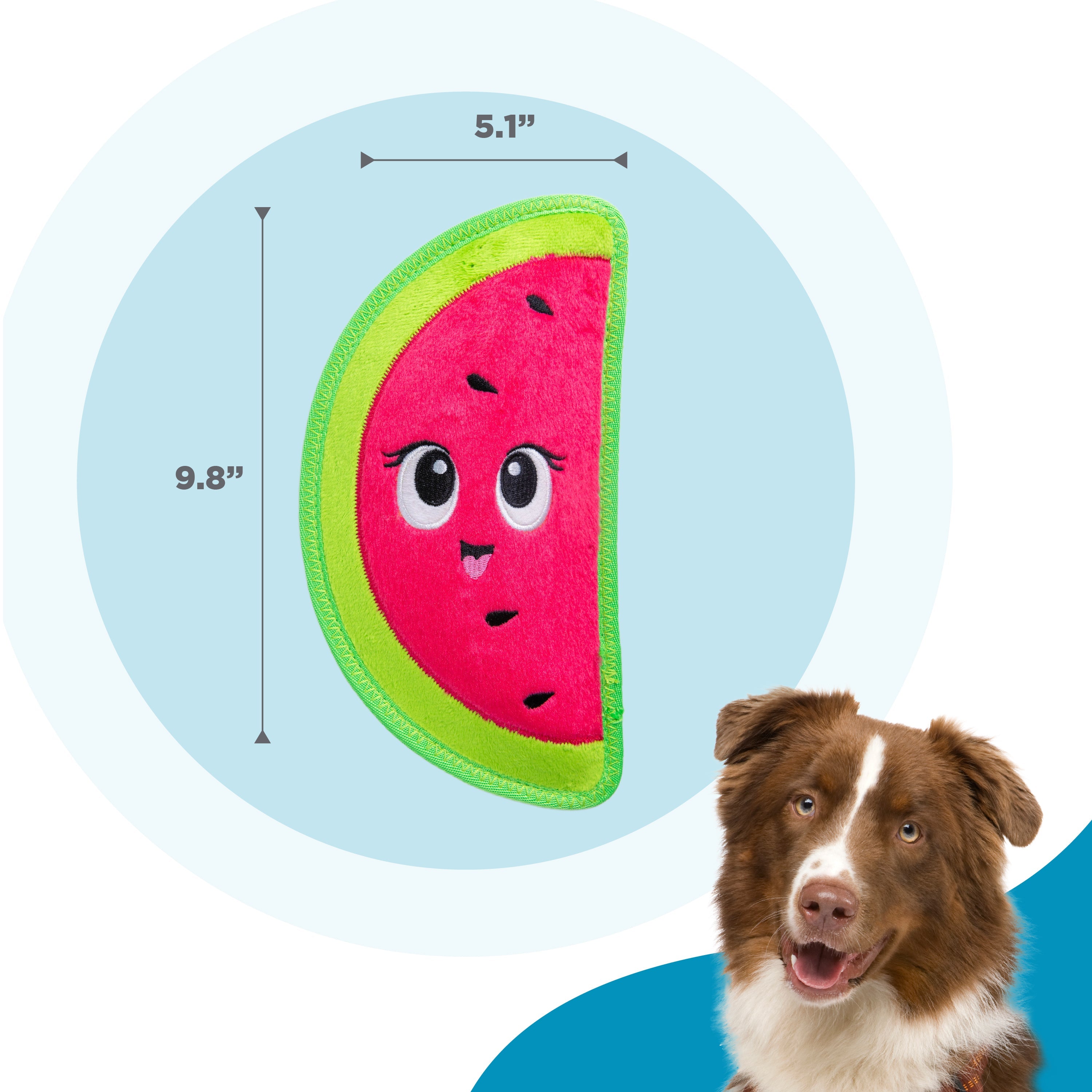 OWH201_Outward Hound_Tough Skinz Watermelon