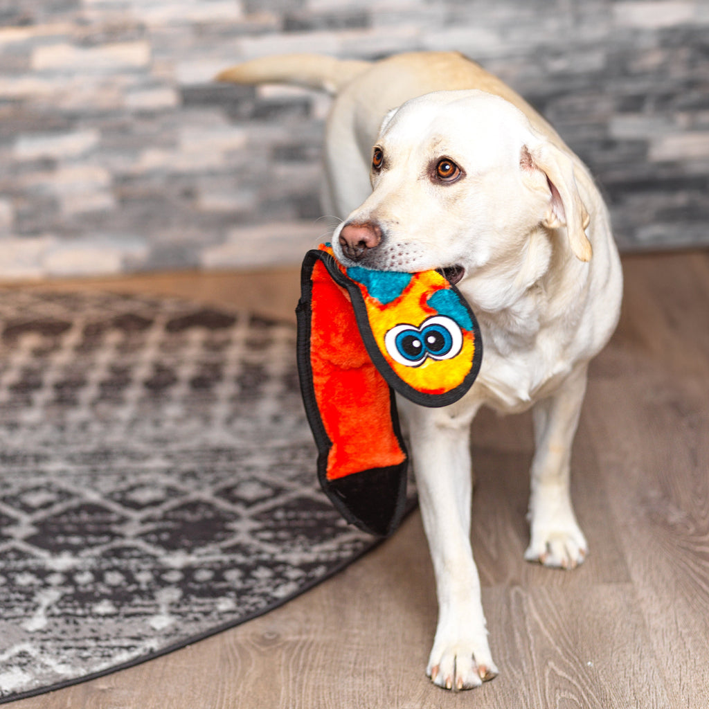 Outward Hound Durablez Snake LG