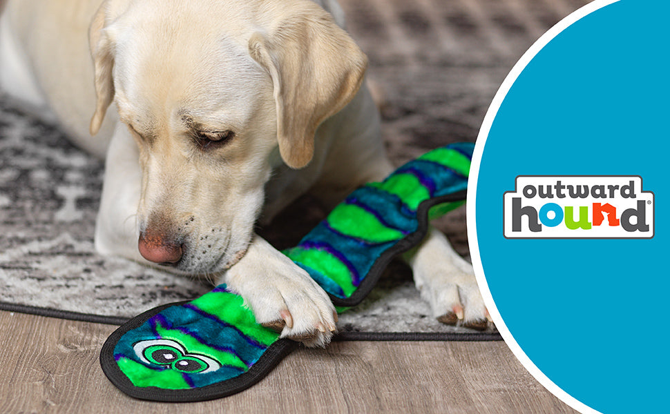 Outward Hound Durablez Snake LG