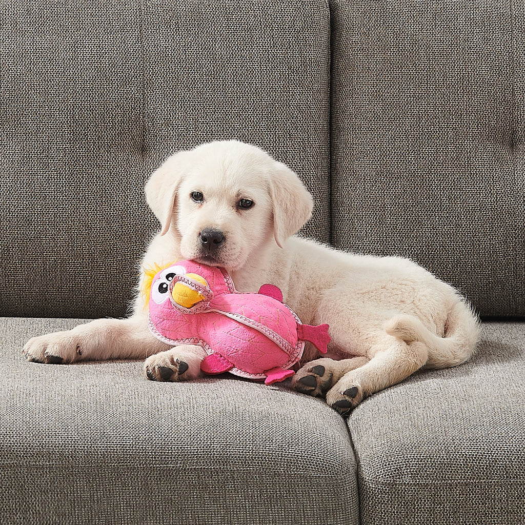 Outward Hound Xtreme Seamz Flamingo