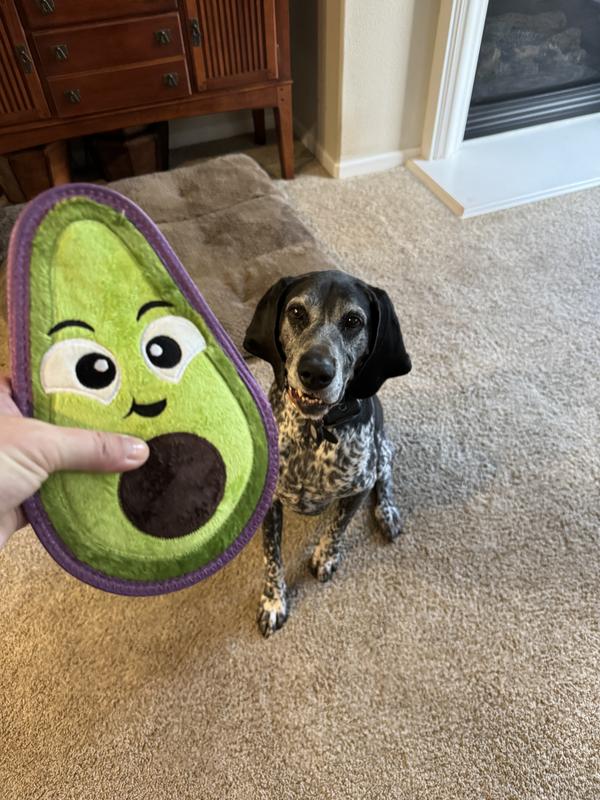 Outward Hound Tough Skinz Avocado