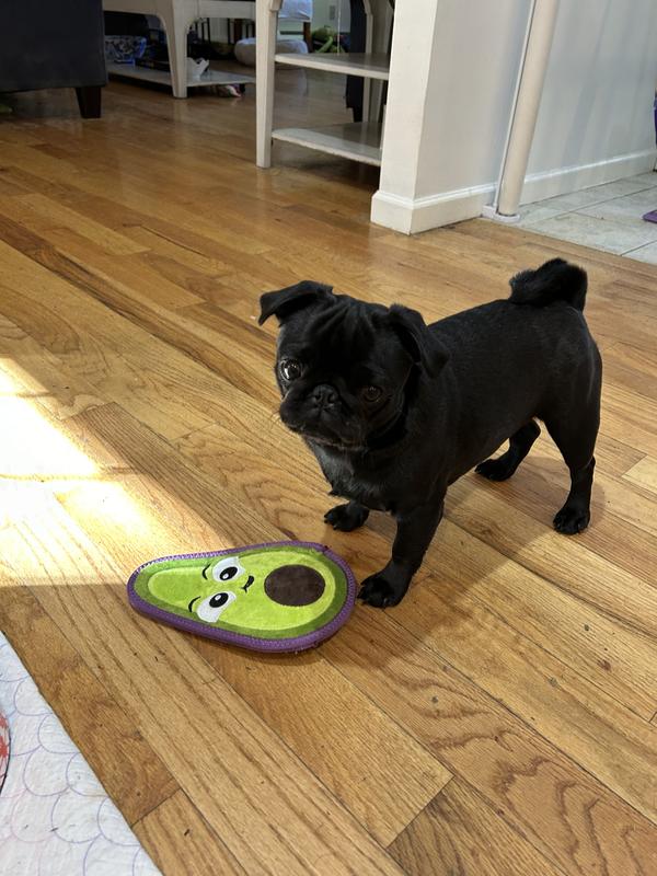 Outward Hound Tough Skinz Avocado