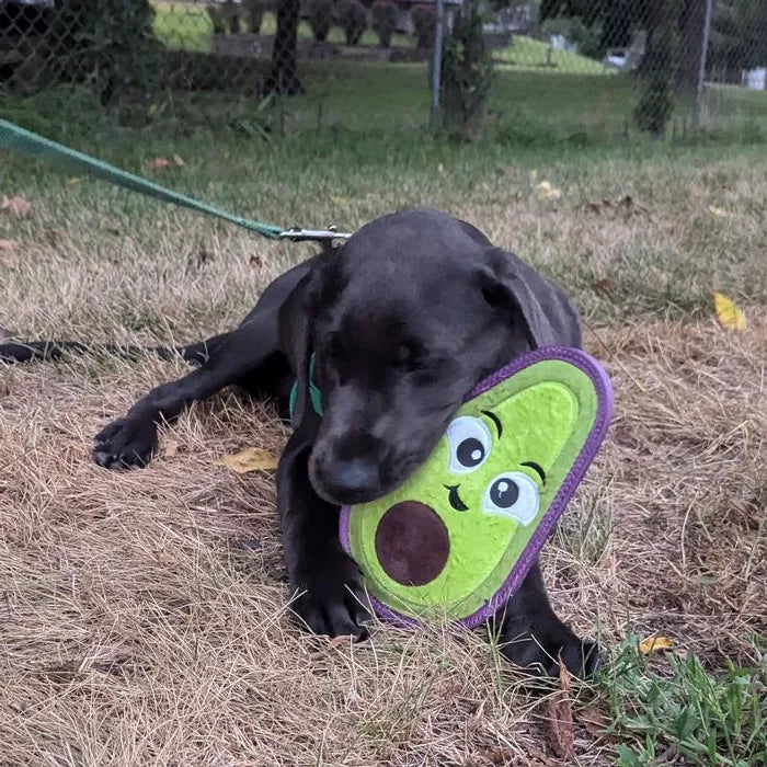 Outward Hound Tough Skinz Avocado