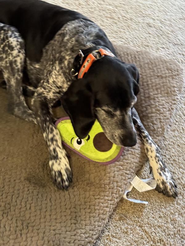 Outward Hound Tough Skinz Avocado