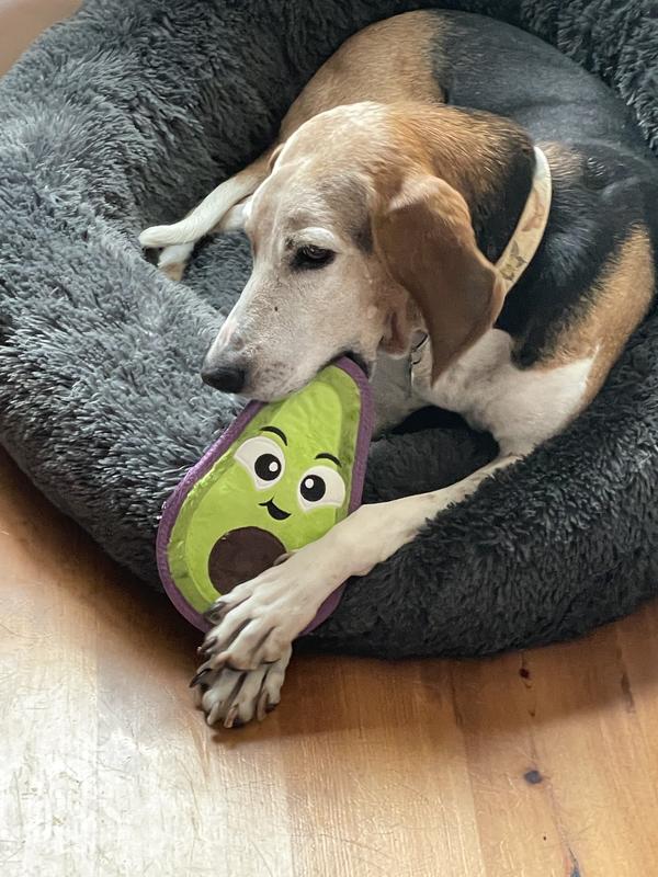 Outward Hound Tough Skinz Avocado