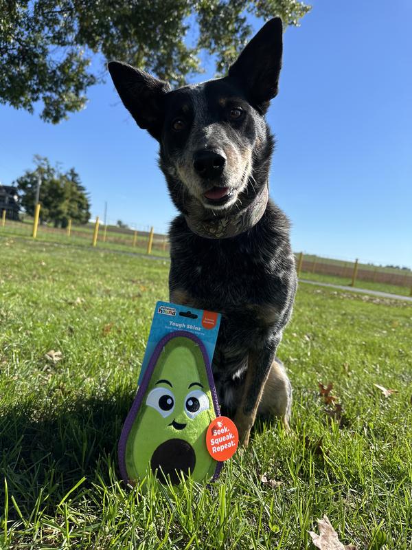 Outward Hound Tough Skinz Avocado