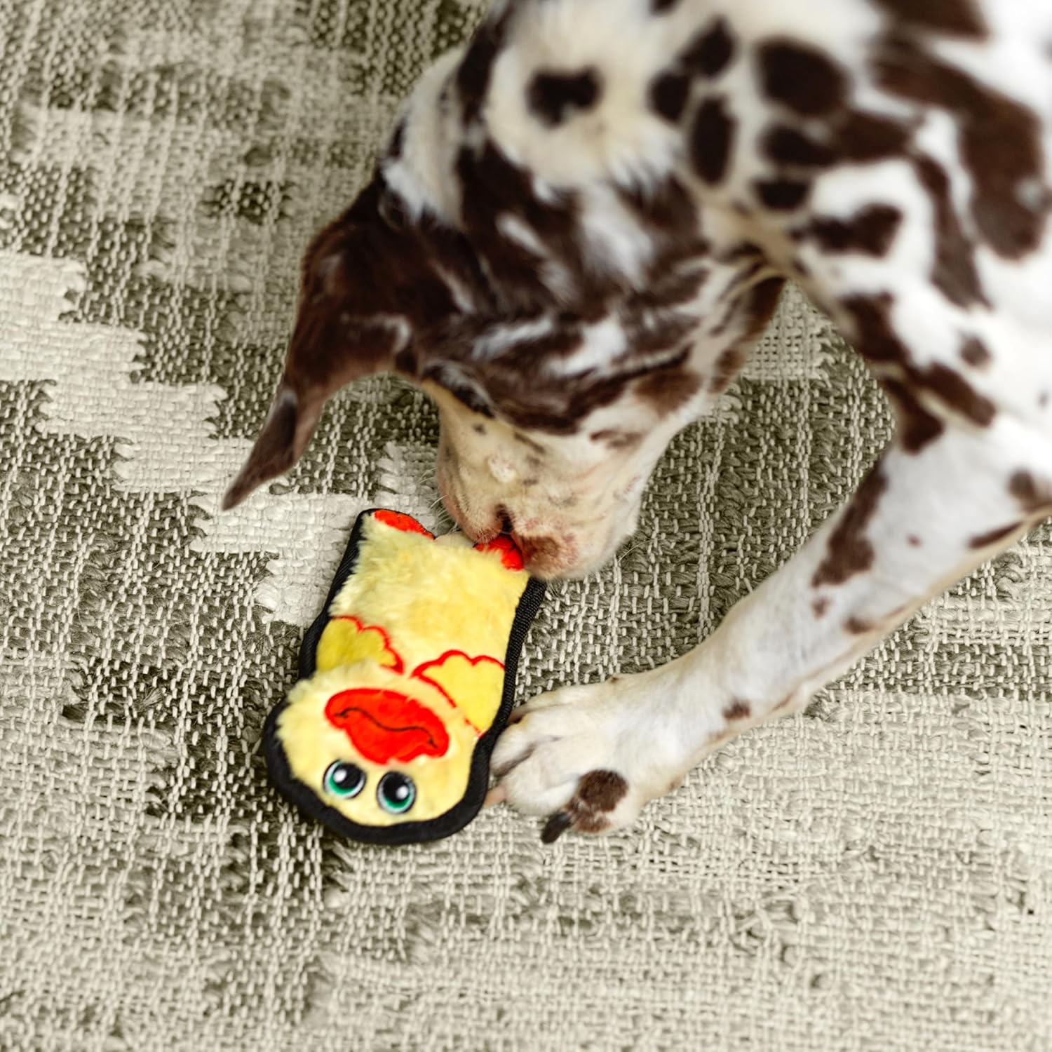 Outward Hound Durablez Mini Duck