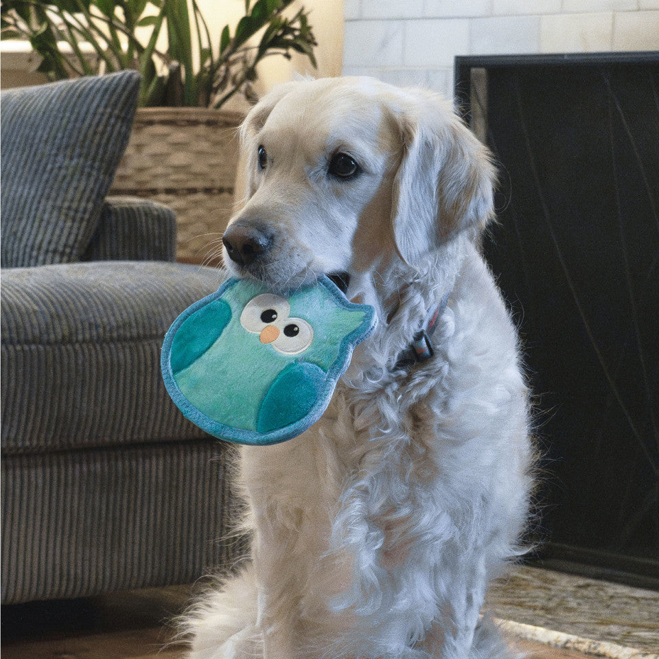 Outward Hound Tough Skinz Owl Small