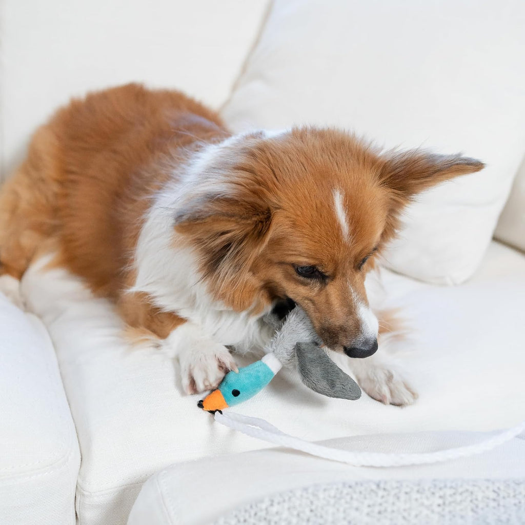 Outward Hound Tail Teaser Interactive Dog Wand Toy, Multi