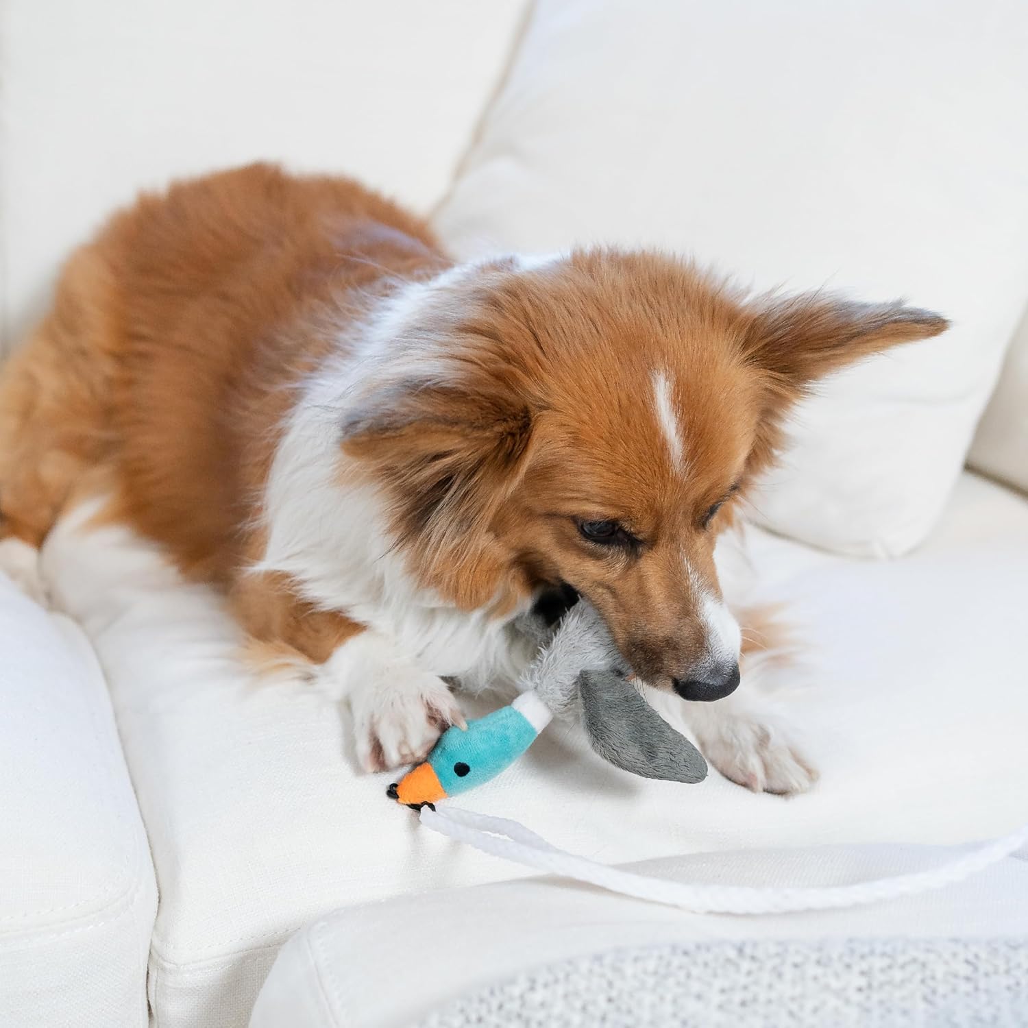Outward Hound Tail Teaser Interactive Dog Wand Toy, Multi