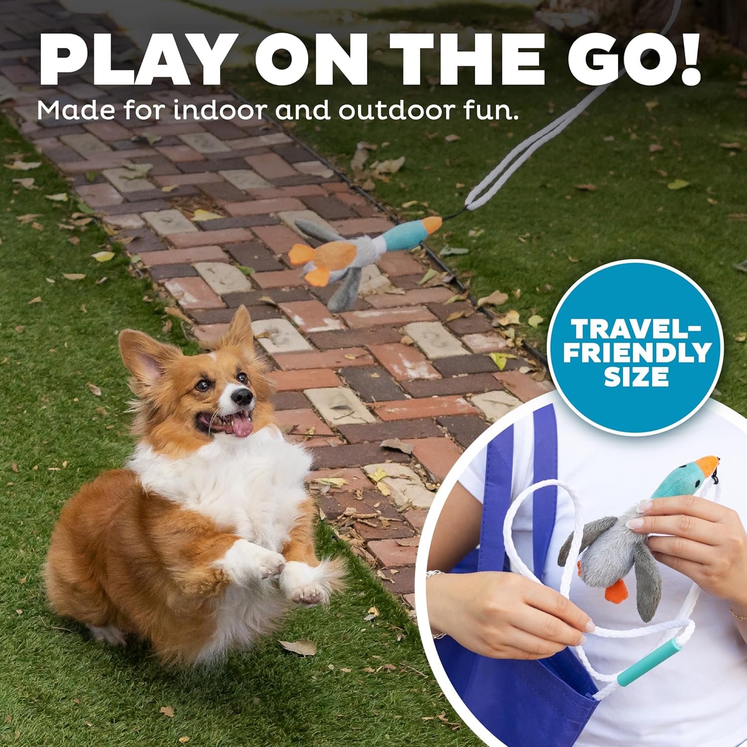 Outward Hound Tail Teaser Interactive Dog Wand Toy, Multi