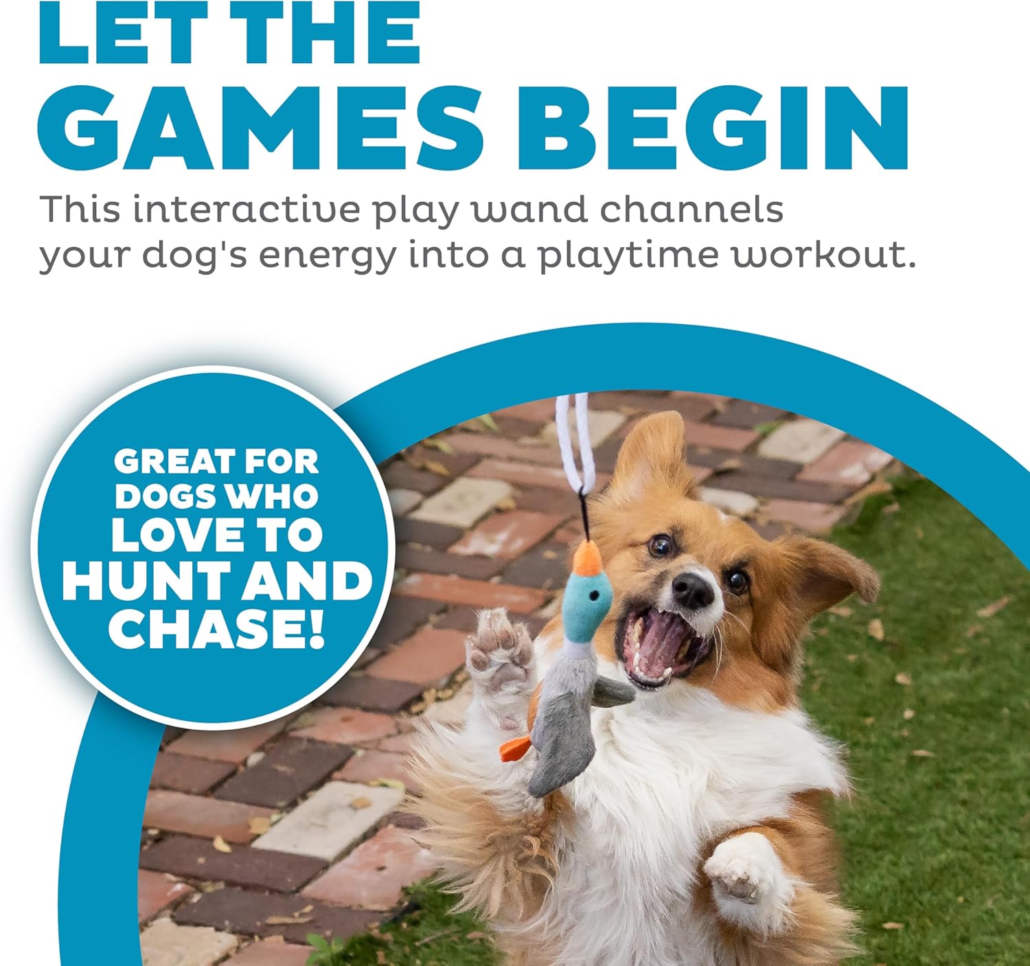 Outward Hound Tail Teaser Interactive Dog Wand Toy, Multi