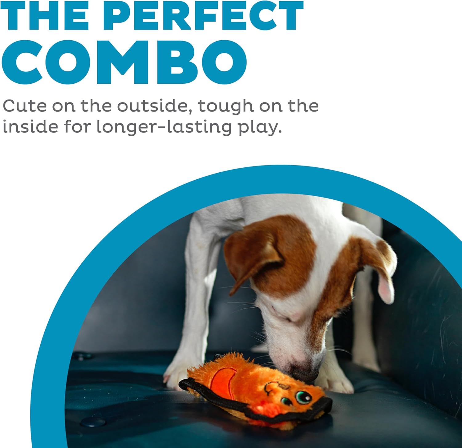 Outward Hound Durablez Mini Dog