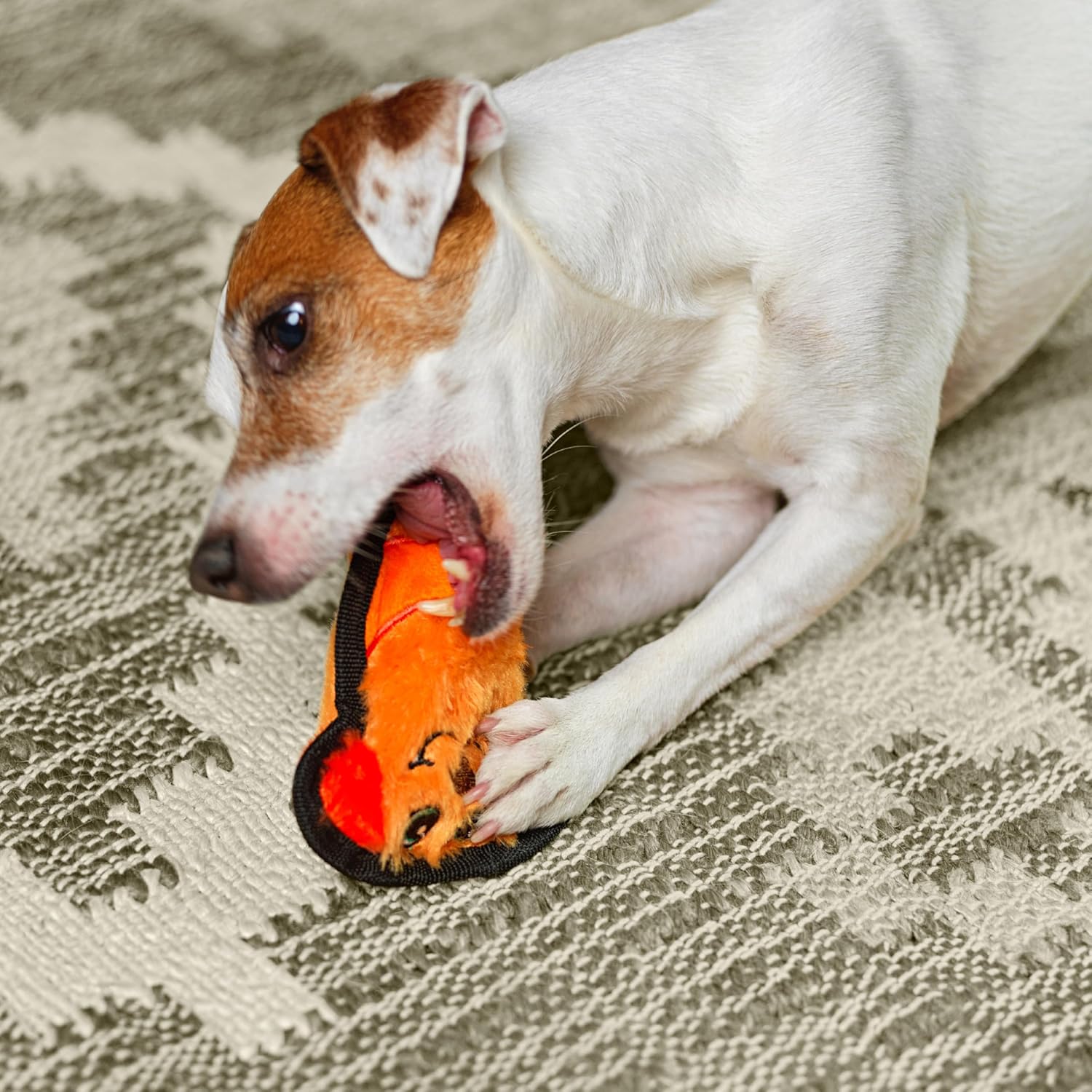 Outward Hound Durablez Mini Dog