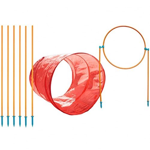 OWH32_Outward Hound_ZipZoom Outdoor Agility Kit