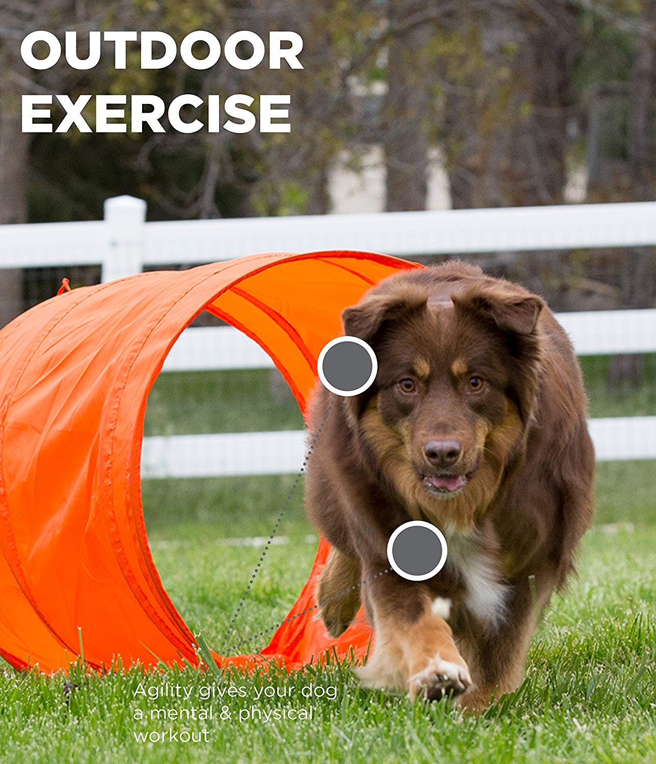 OWH32_Outward Hound_ZipZoom Outdoor Agility Kit