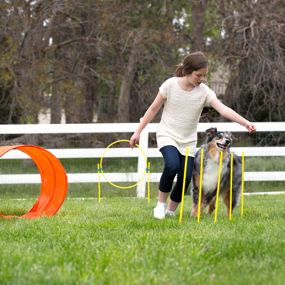 OWH32_Outward Hound_ZipZoom Outdoor Agility Kit