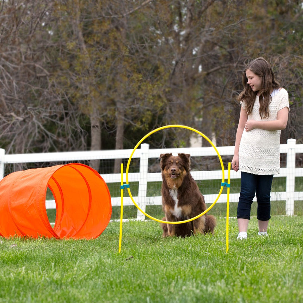 OWH32_Outward Hound_ZipZoom Outdoor Agility Kit