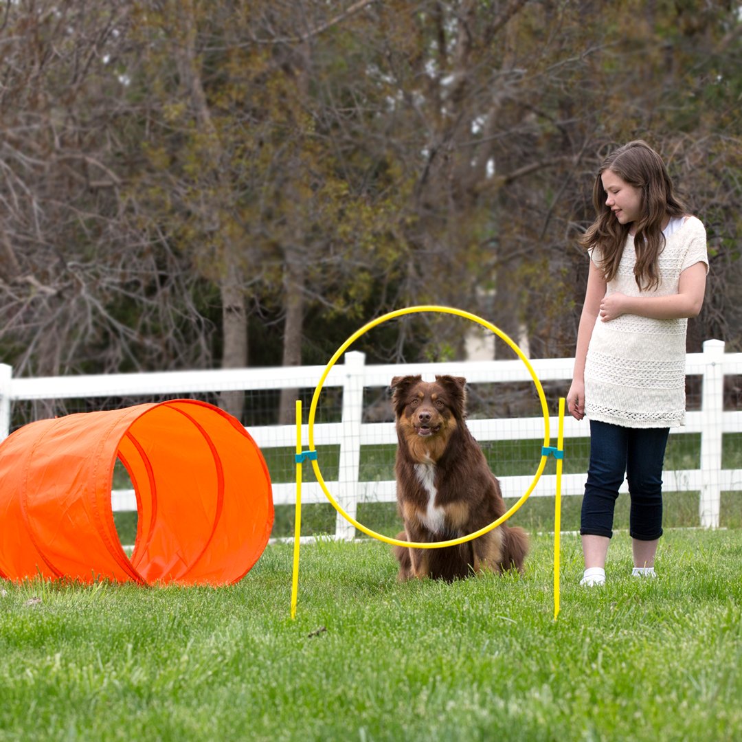 OWH32_Outward Hound_ZipZoom Outdoor Agility Kit