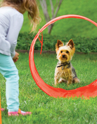 OWH32_Outward Hound_ZipZoom Outdoor Agility Kit