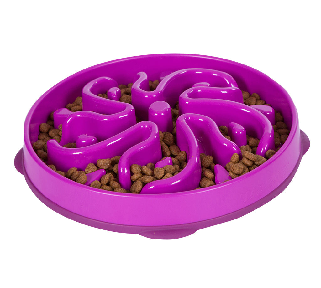 OWH37_Outward Hound_Fun Feeder Purple
