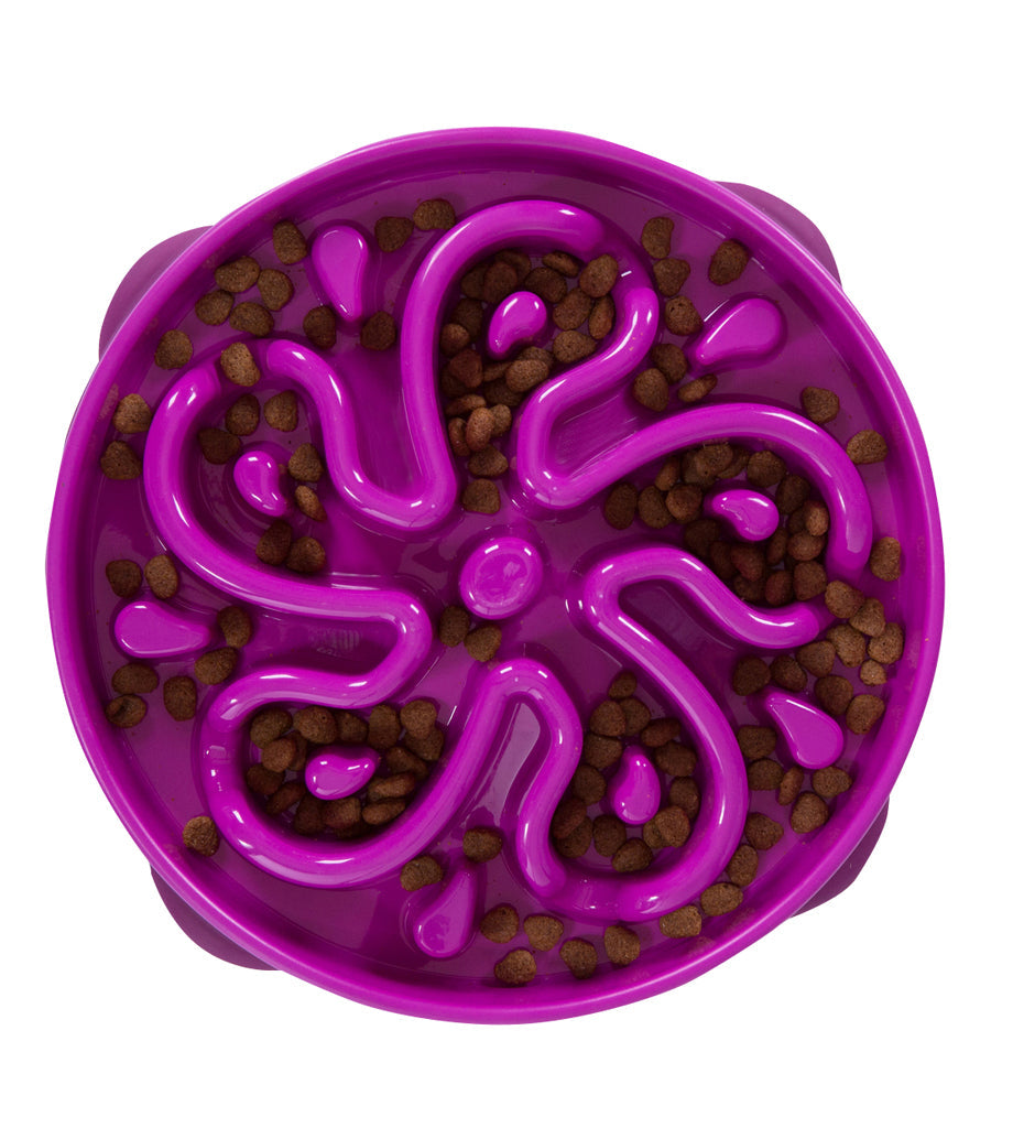 OWH37_Outward Hound_Fun Feeder Purple