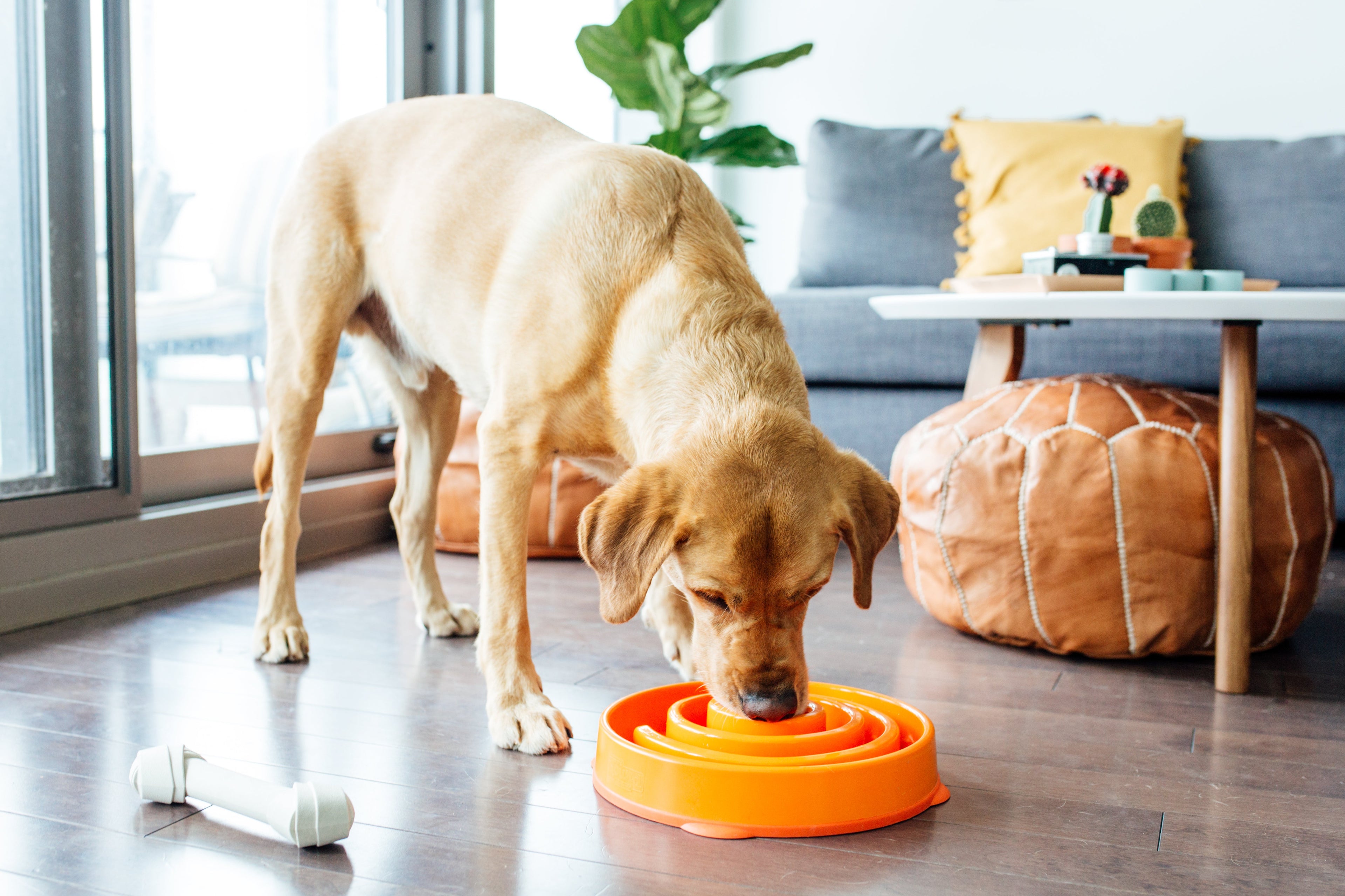 OWH39_Outward Hound Fun Feeder Orange_3